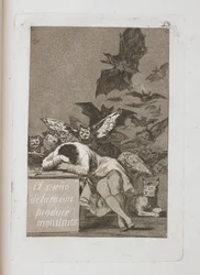 The Sleep of Reason Produces Monsters